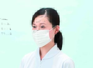 2860　3PLYマスク（耳掛けタイプ）